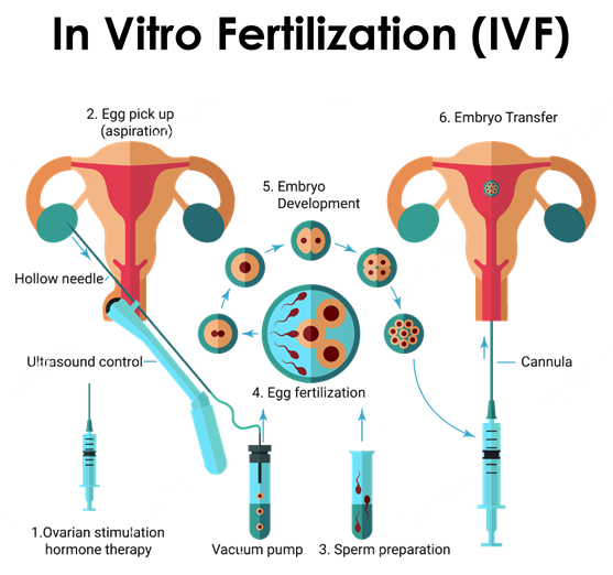 Best IVF Centre In Pathankot